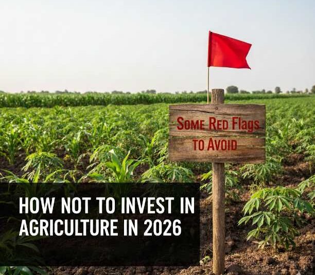 How not to invest in Agriculture in 2026